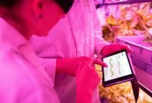 enhance growth with technology